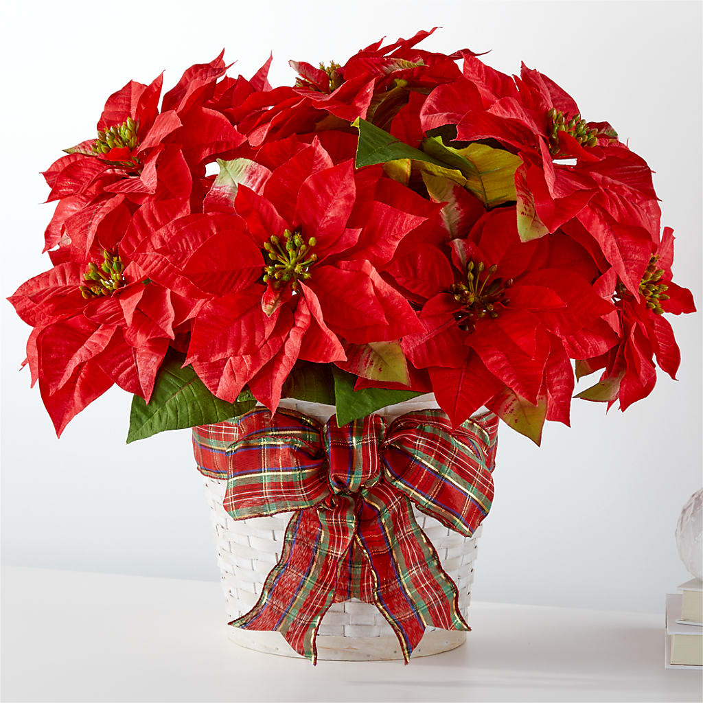 Happiest Holidays Poinsettia – The Flower Place, Bradenton FL