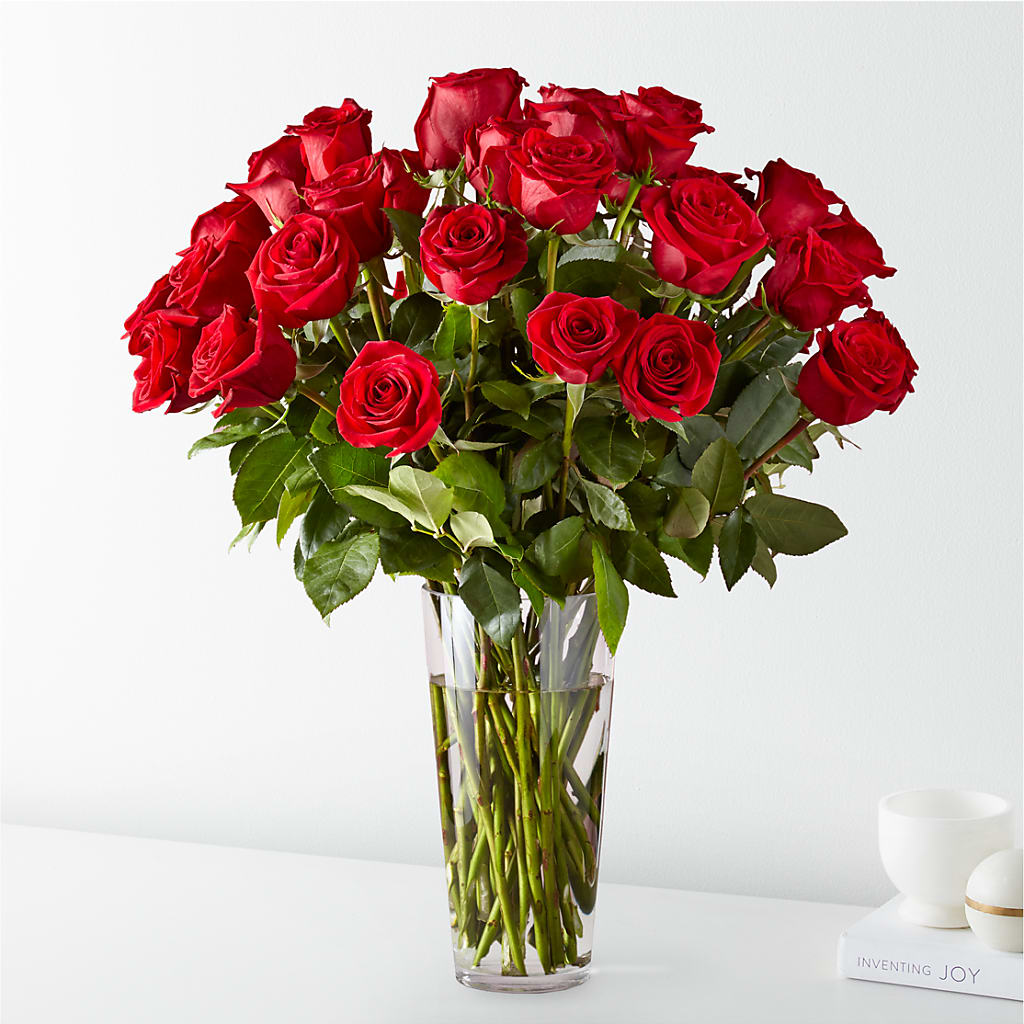 Long Stem Red Rose Bouquet – The Flower Place, Bradenton FL