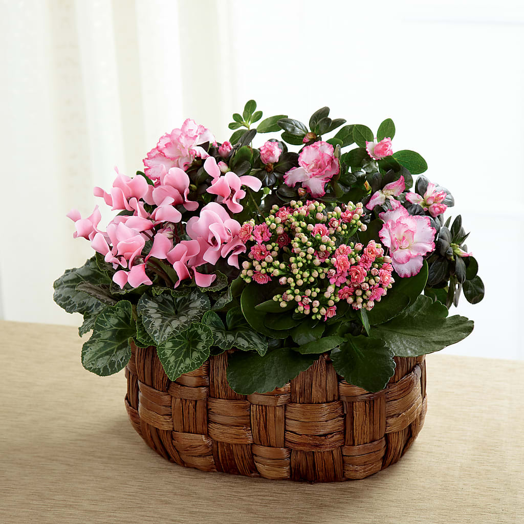 Pink Assortment – The Flower Place, Bradenton FL