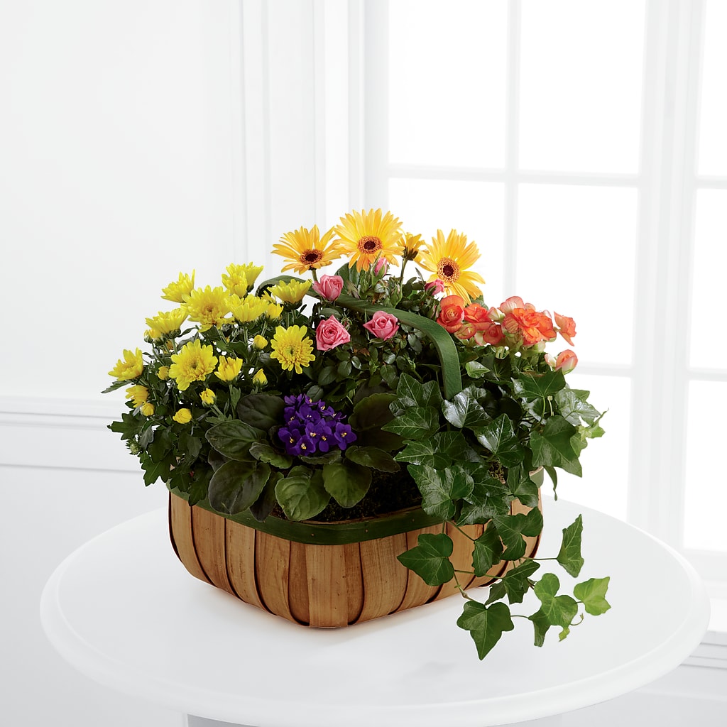 Gentle Blossoms Basket – The Flower Place, Bradenton FL