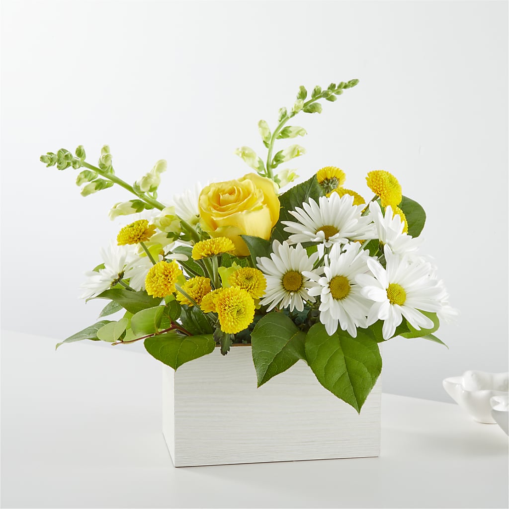 Sun Salutation Box Bouquet – The Flower Place, Bradenton FL