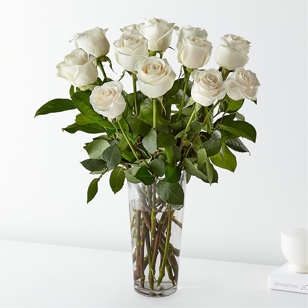 Long Stem White Rose Bouquet – THE FLOWER PLACE, Bradenton FL