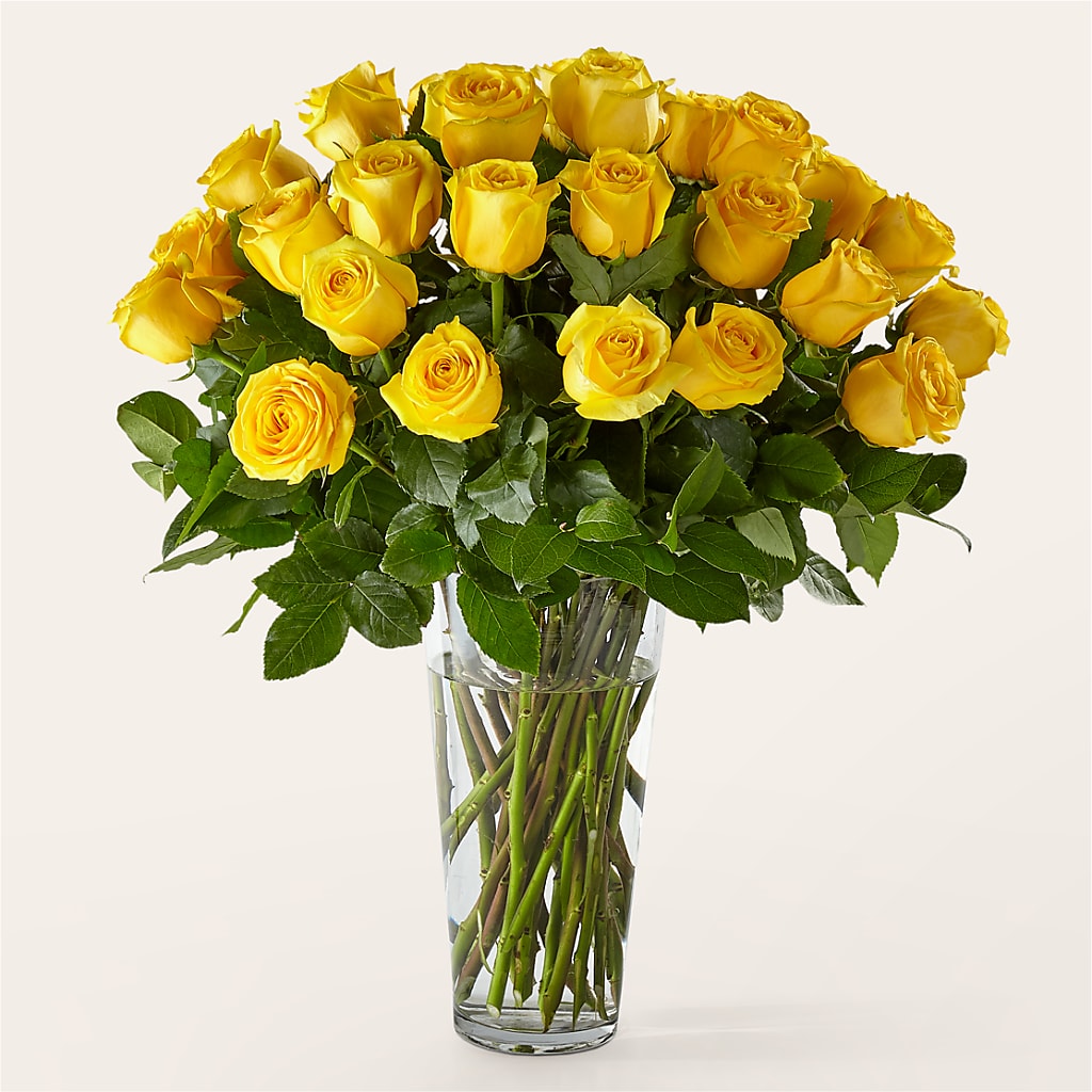 Long Stem Yellow Rose Bouquet – The Flower Place, Bradenton FL