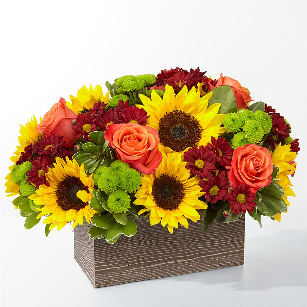 Happy Harvest Garden – The Flower Place, Bradenton FL