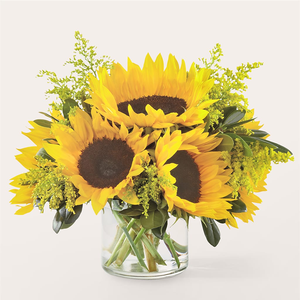 Beaming Sunflower Bouquet – The Flower Place, Bradenton FL