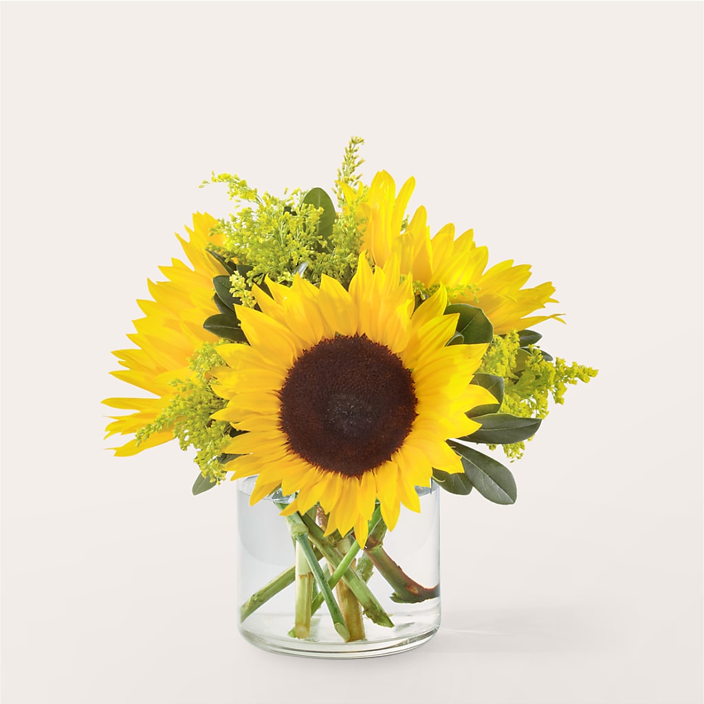 Beaming Sunflower Bouquet – THE FLOWER PLACE, Bradenton FL