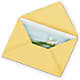 Greeting Card – The Flower Place, Bradenton FL