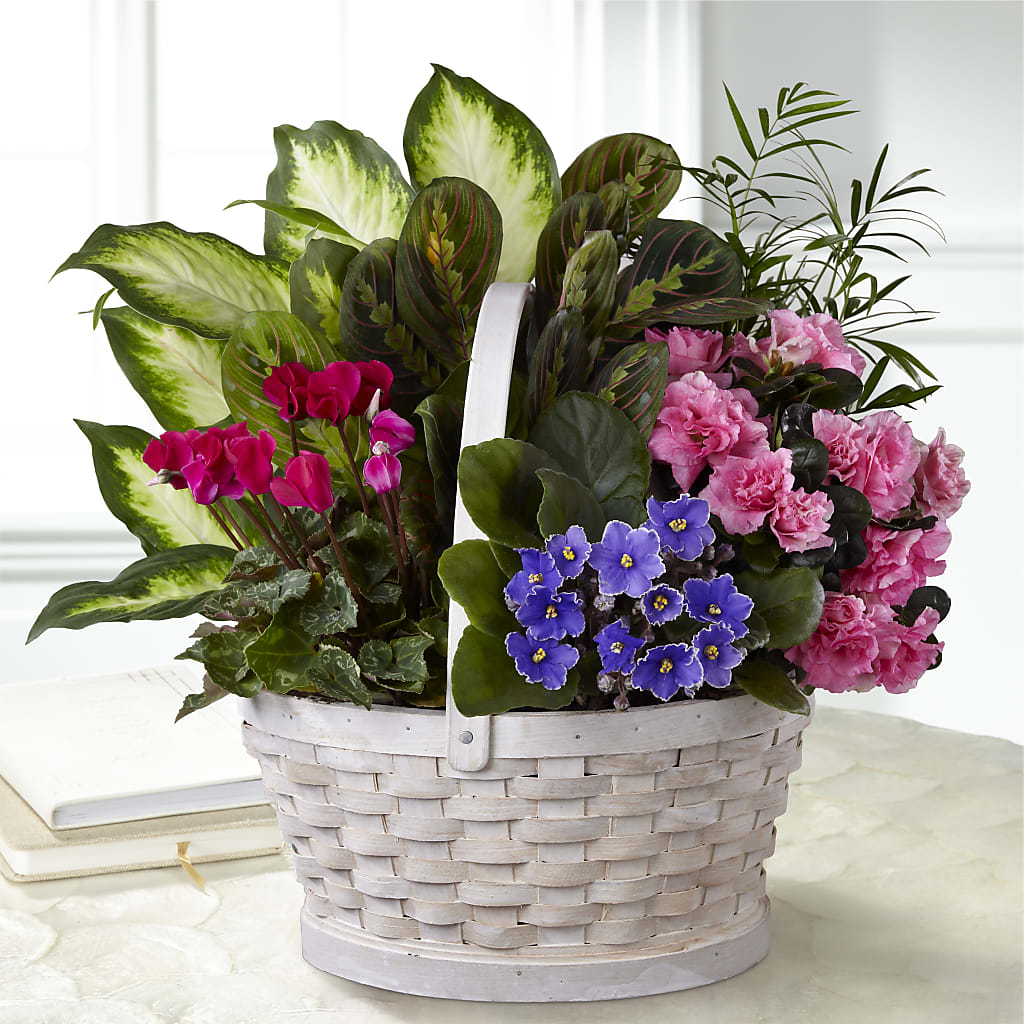 Peaceful Garden Planter – THE FLOWER PLACE, Bradenton FL