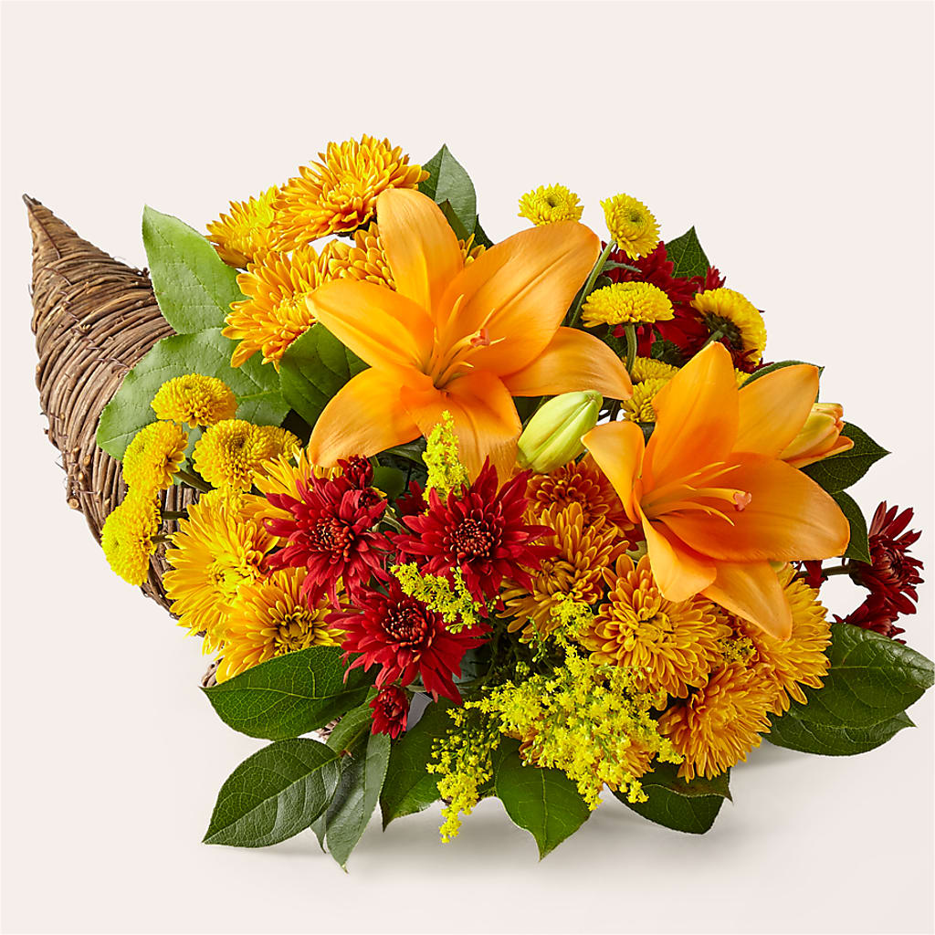 Feast of Color Cornucopia – THE FLOWER PLACE, Bradenton FL
