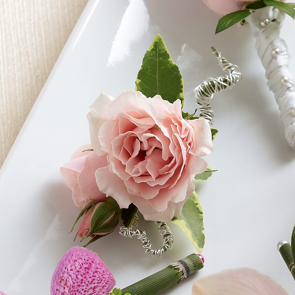 Pink Spray Rose Boutonniere – The Flower Place, Bradenton FL
