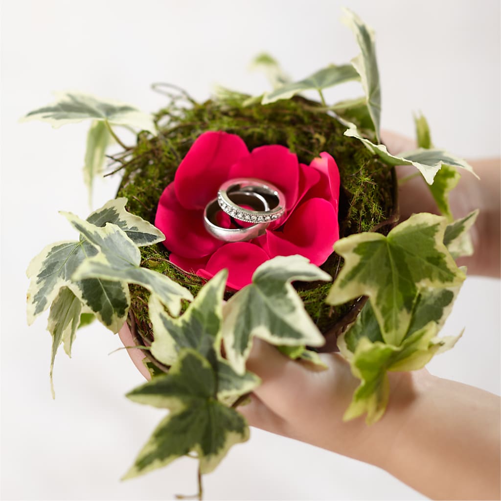 Lila Rose Ring Nest – THE FLOWER PLACE, Bradenton FL
