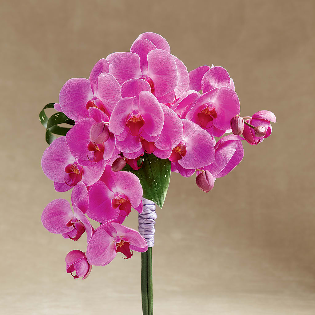 Glorious Bouquet – The Flower Place, Bradenton FL