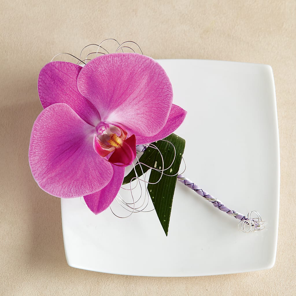 Glorious Boutonniere – The Flower Place, Bradenton FL