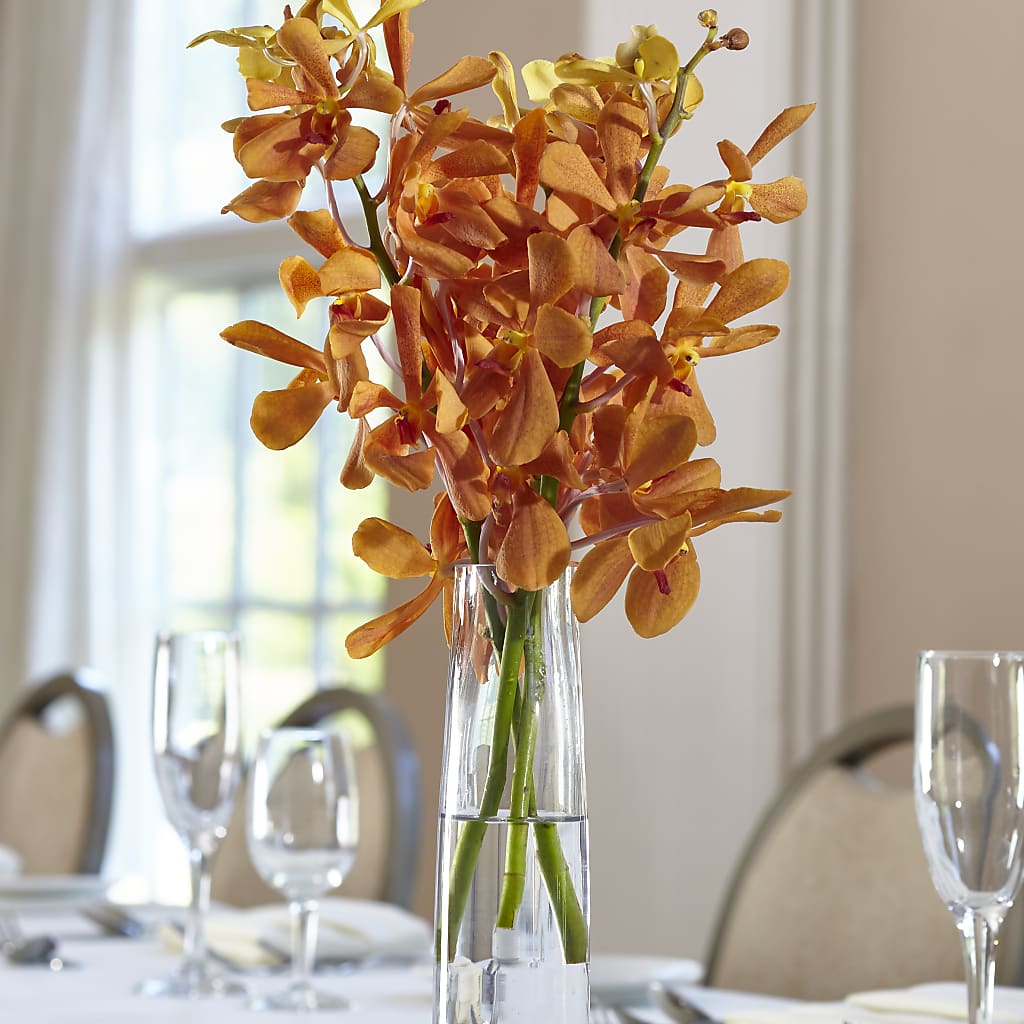 Orange Mokara Bud Vase – The Flower Place, Bradenton FL