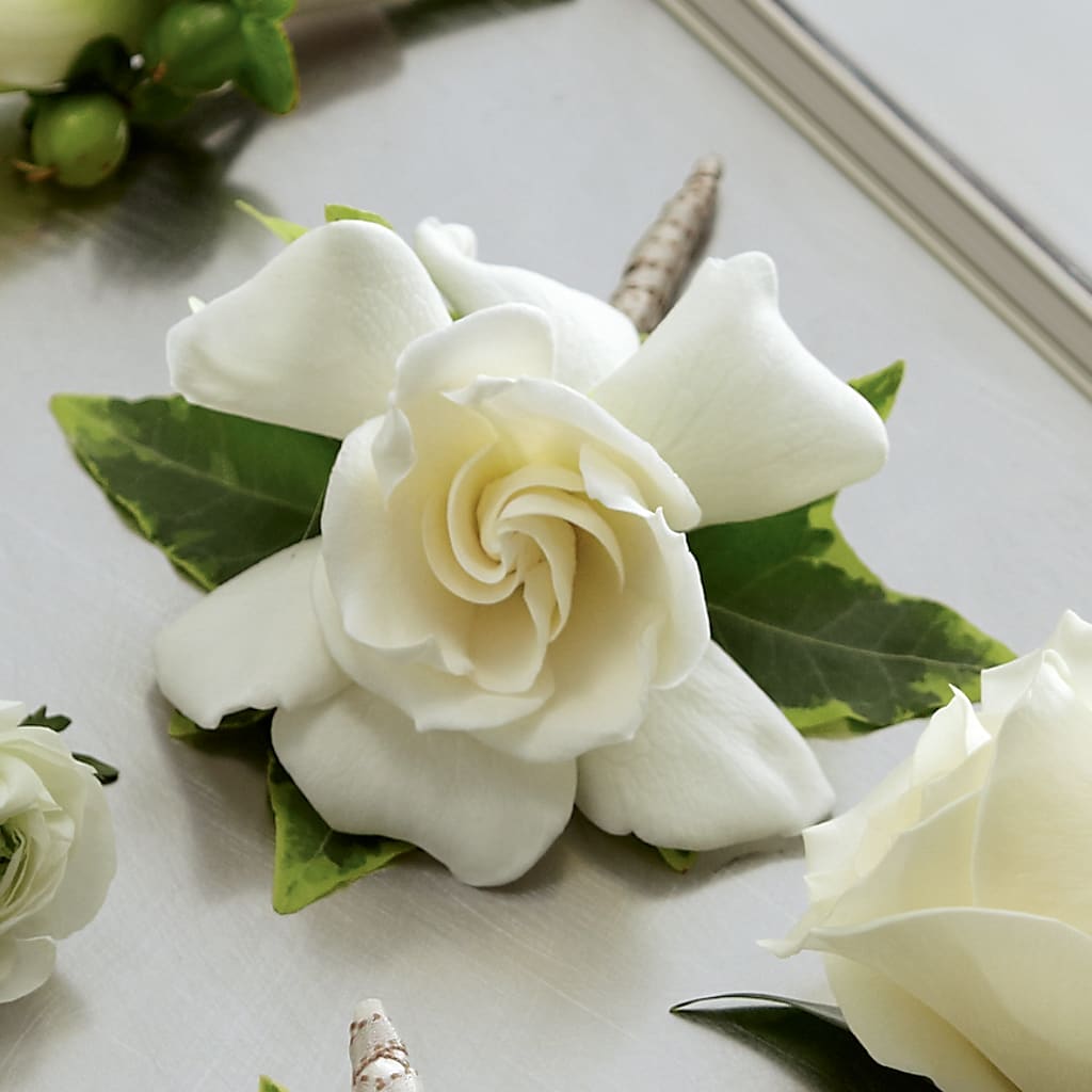 Gardenia Boutonniere – The Flower Place, Bradenton FL