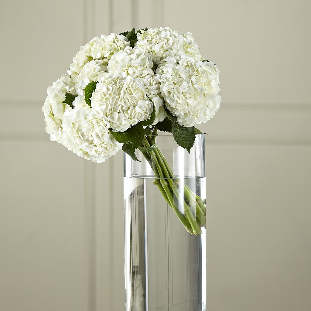 White Hydrangea Hand-Tied Bouquet – The Flower Place, Bradenton FL