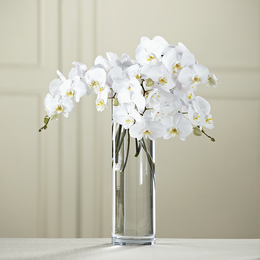 White Phalaenopsis Bouquet – The Flower Place, Bradenton FL