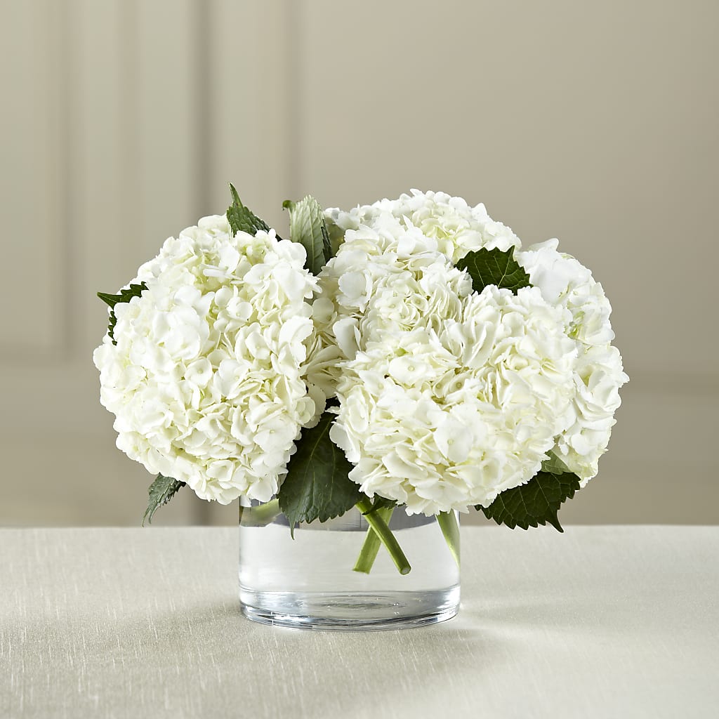 White Hydrangea Bouquet – The Flower Place, Bradenton FL