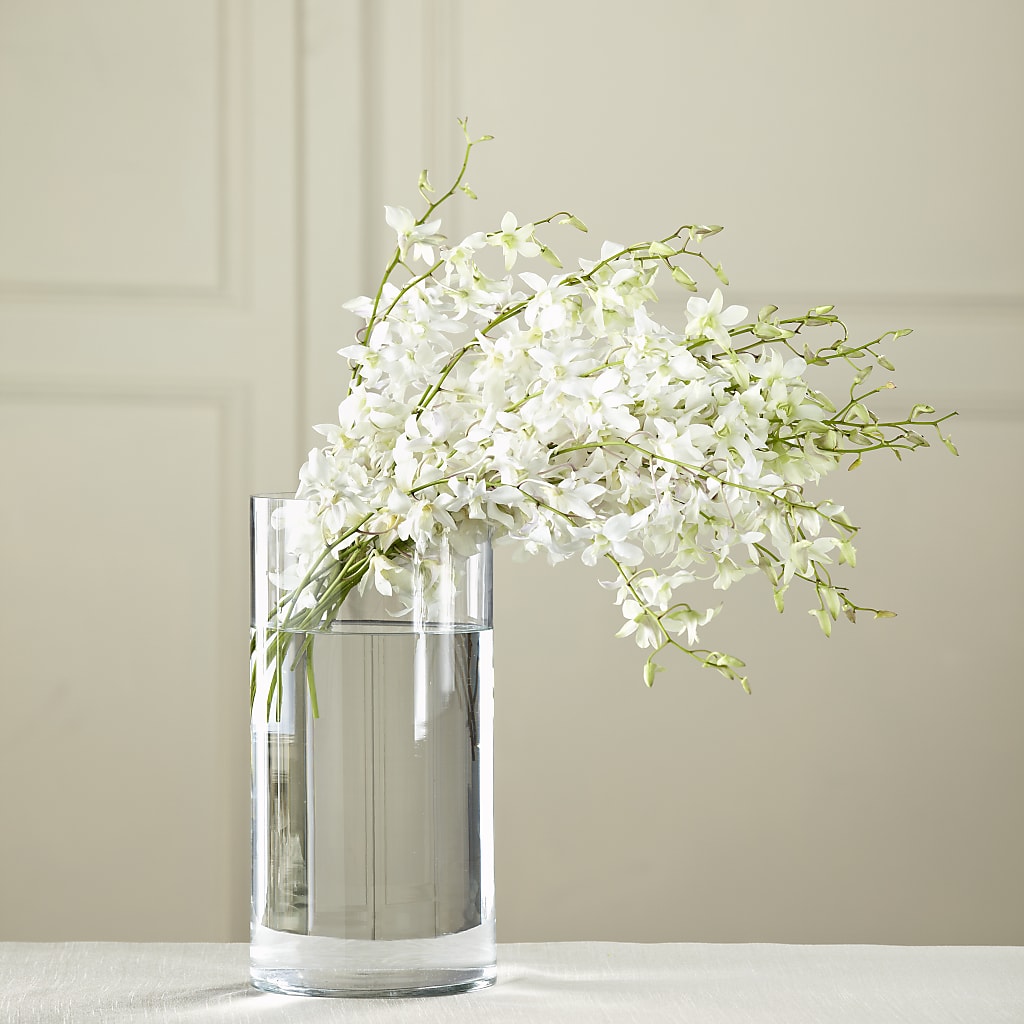 White Dendrobium Bouquet – THE FLOWER PLACE, Bradenton FL