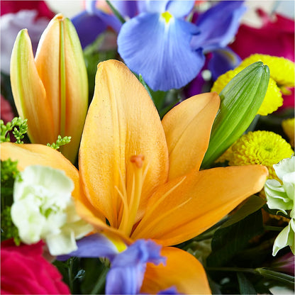 Bold & Bright – A Florist Original –  King Wholesale Flowers Co, Bradenton FL