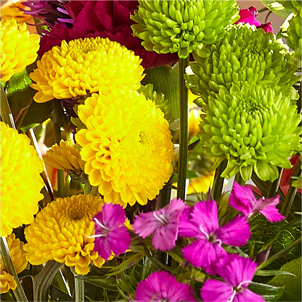 Bold & Bright – A Florist Original –  King Wholesale Flowers Co, Bradenton FL