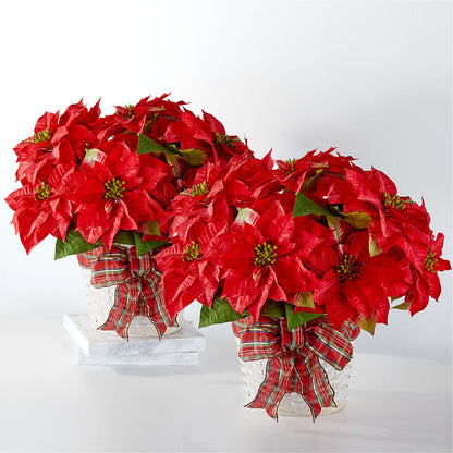 Happiest Holidays Poinsettia Bundle – THE FLOWER PLACE, Bradenton FL