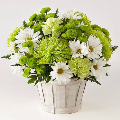 Lucky Charm Basket (Standard) – THE FLOWER PLACE, Bradenton FL