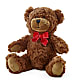 Adorable Plush Bear – THE FLOWER PLACE, Bradenton FL