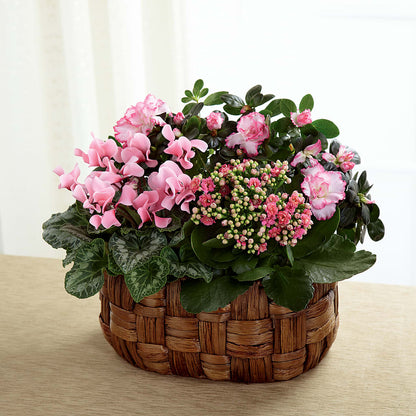 Pink Assortment – THE FLOWER PLACE, Bradenton FL