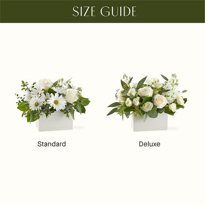 Fresh Linen Box Bouquet –  King Wholesale Flowers Co, Bradenton FL