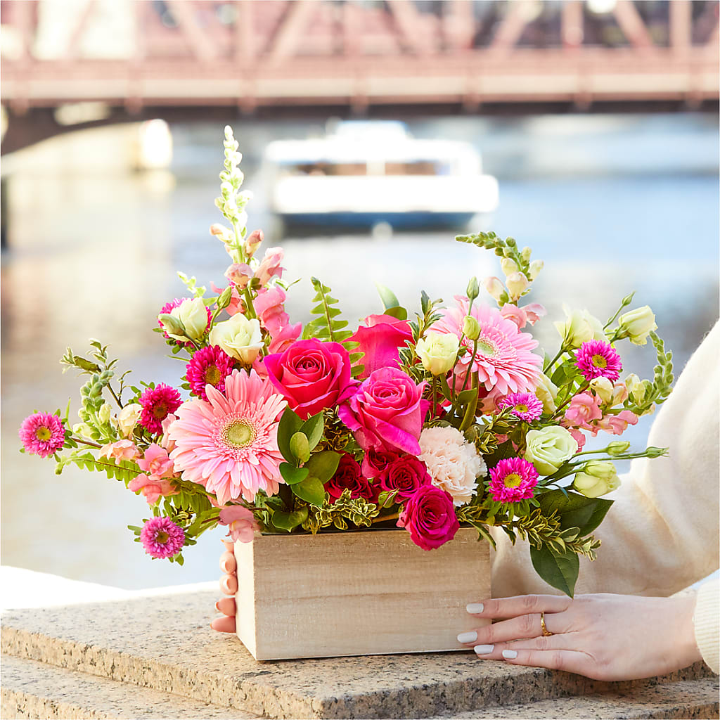 Too Cute Bouquet –  King Wholesale Flowers Co, Bradenton FL