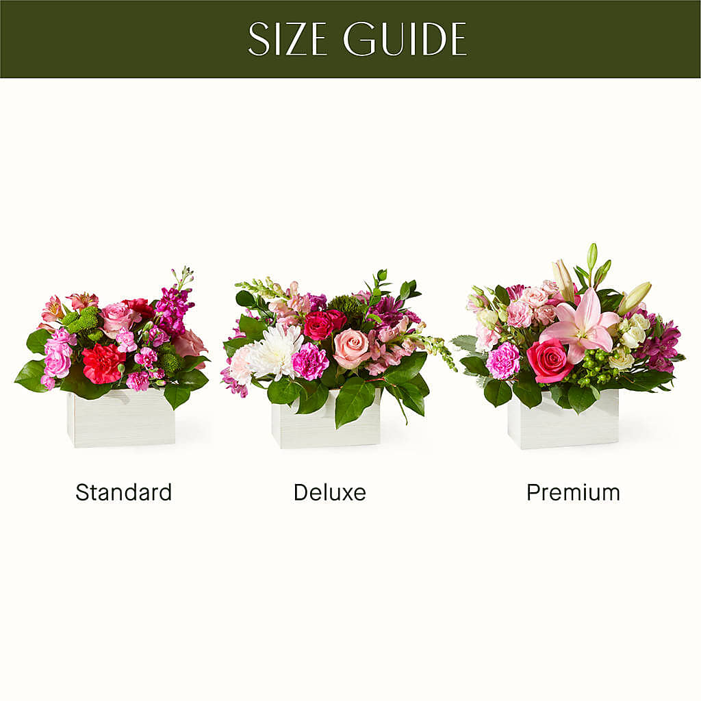 Sweetberry Box – A Florist Original –  King Wholesale Flowers Co, Bradenton FL