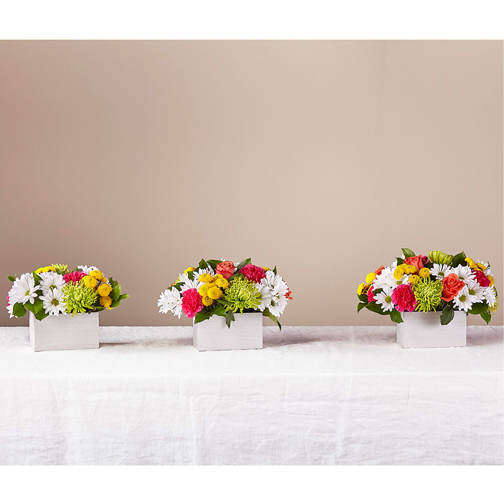 Sorbet Bouquet –  King Wholesale Flowers Co, Bradenton FL