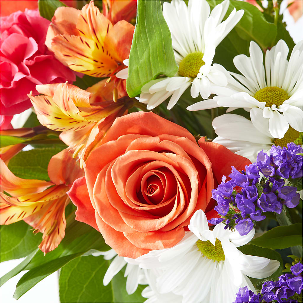 Oopsie Daisy Box Bouquet –  King Wholesale Flowers Co, Bradenton FL