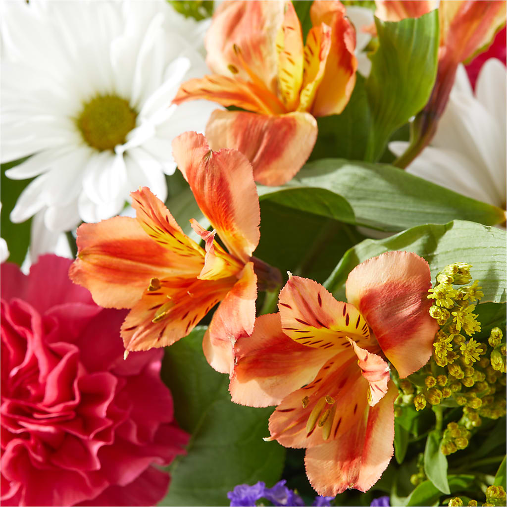 Oopsie Daisy Box Bouquet –  King Wholesale Flowers Co, Bradenton FL