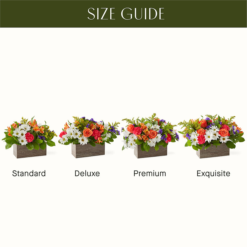 Oopsie Daisy Box Bouquet –  King Wholesale Flowers Co, Bradenton FL