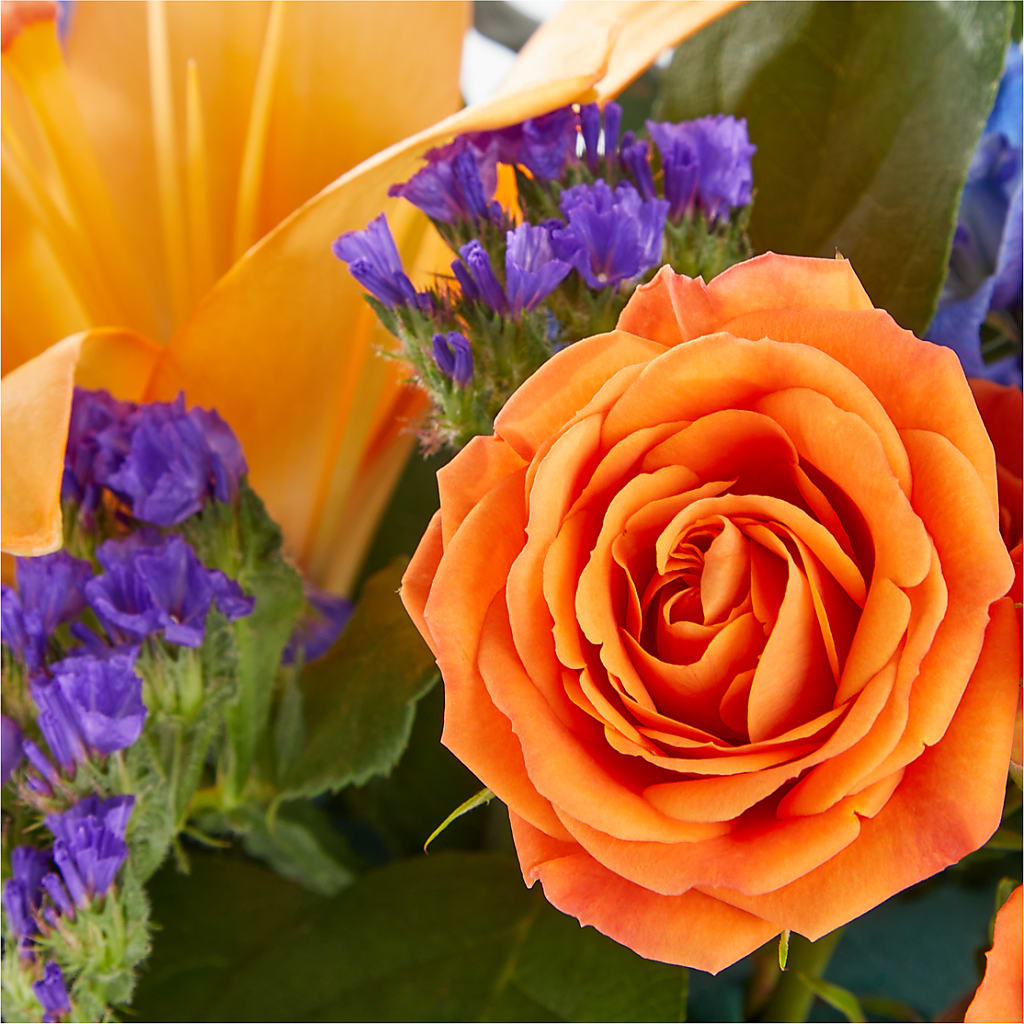 Radiant Citrus Box Bouquet –  King Wholesale Flowers Co, Bradenton FL