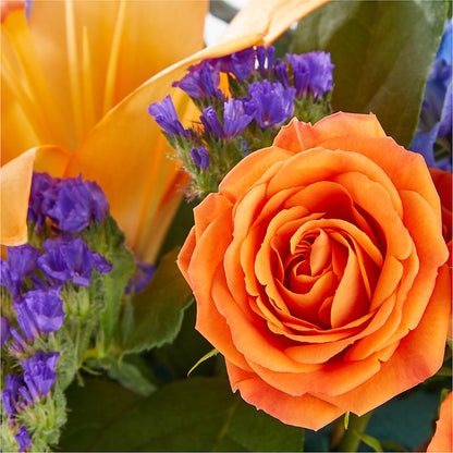 Radiant Citrus Box Bouquet –  King Wholesale Flowers Co, Bradenton FL