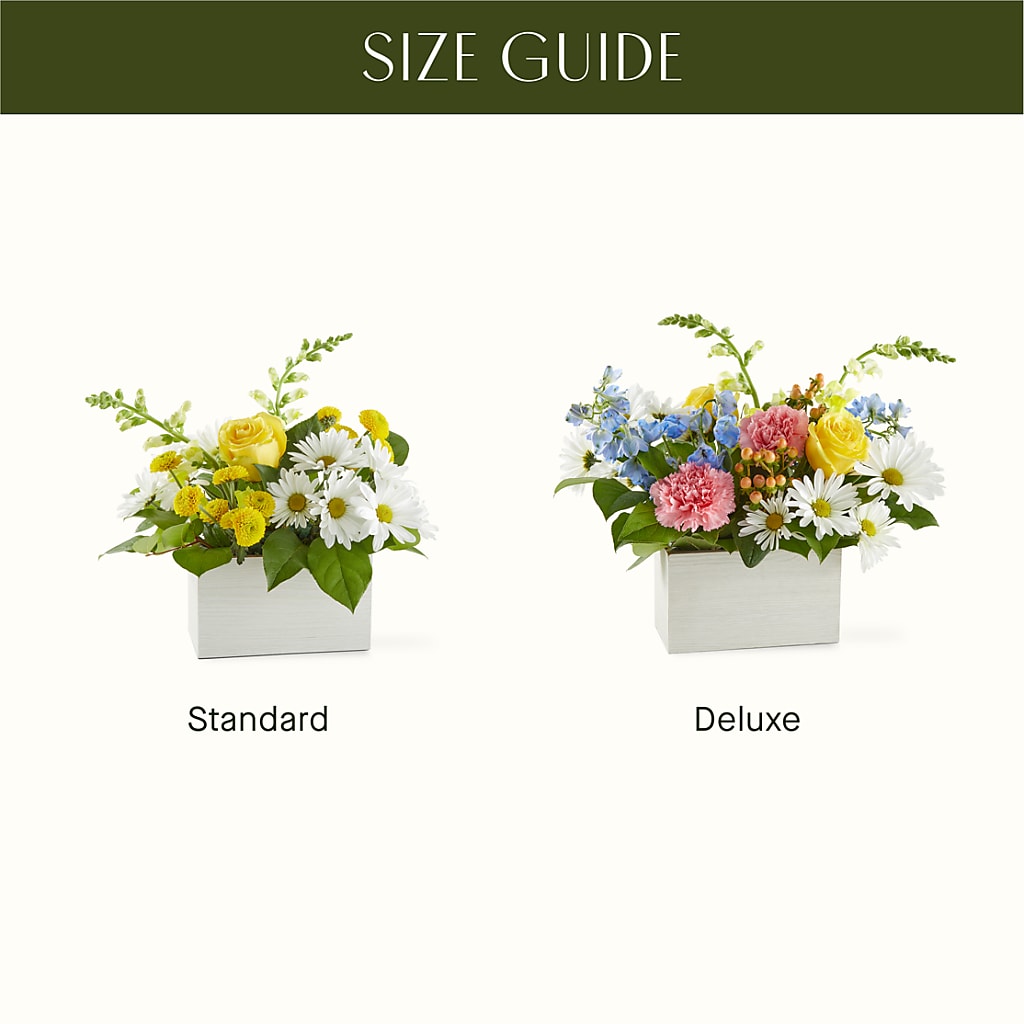 Sun Salutation Box Bouquet –  King Wholesale Flowers Co, Bradenton FL