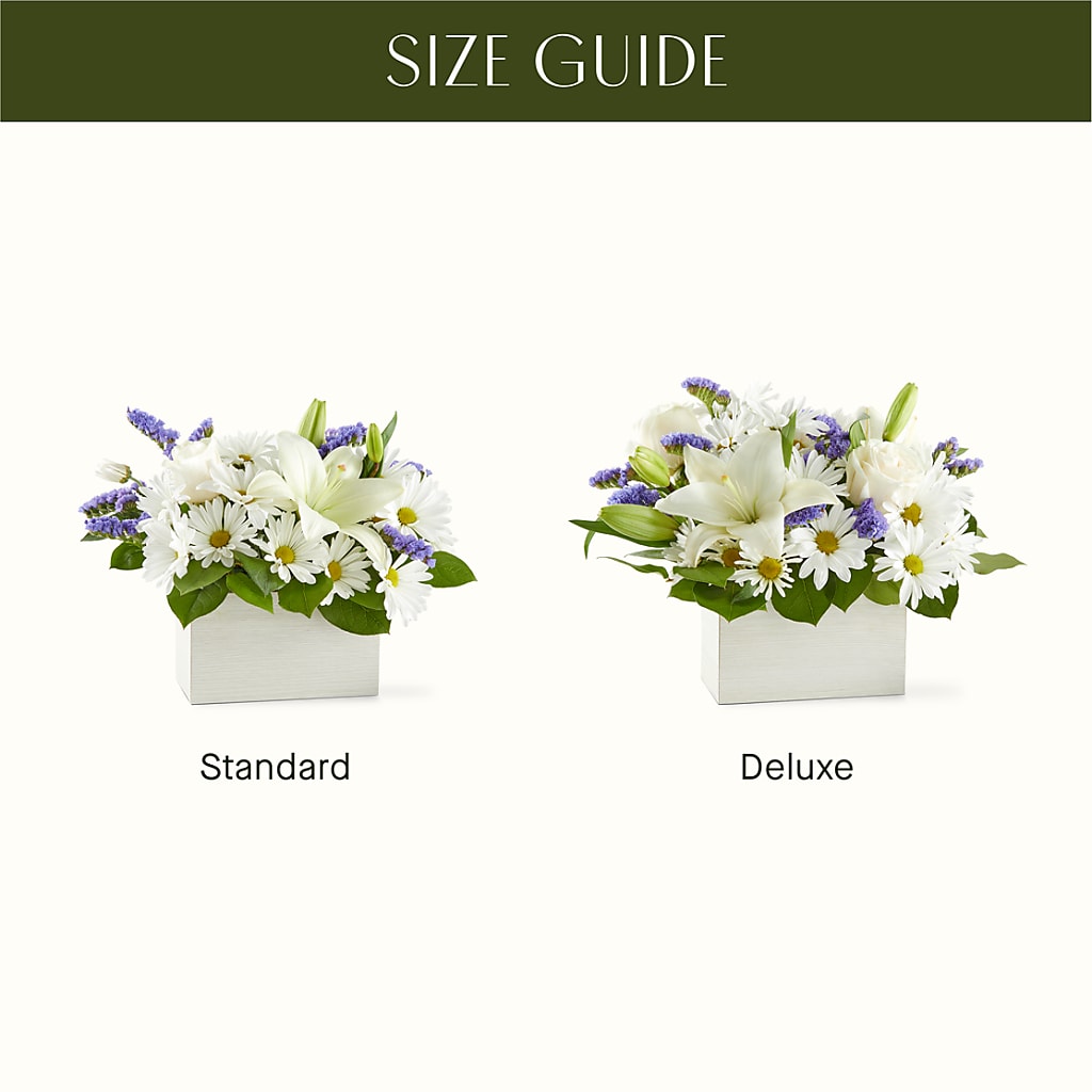 Beyond Blue Box Bouquet –  King Wholesale Flowers Co, Bradenton FL