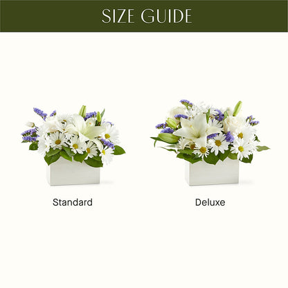 Beyond Blue Box Bouquet –  King Wholesale Flowers Co, Bradenton FL