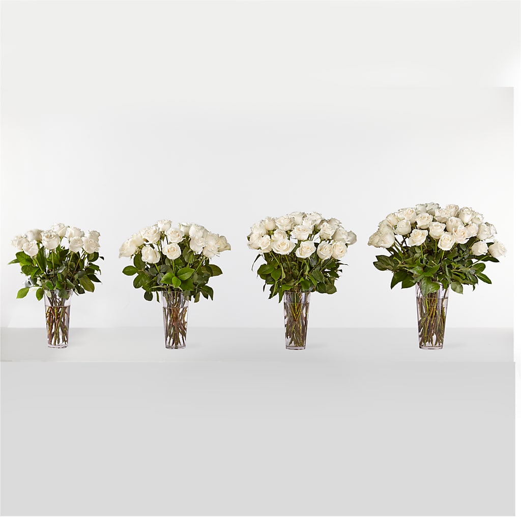 Long Stem White Rose Bouquet –  King Wholesale Flowers Co, Bradenton FL