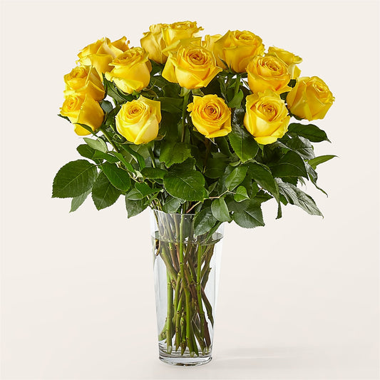 Long Stem Yellow Rose Bouquet –  King Wholesale Flowers Co, Bradenton FL