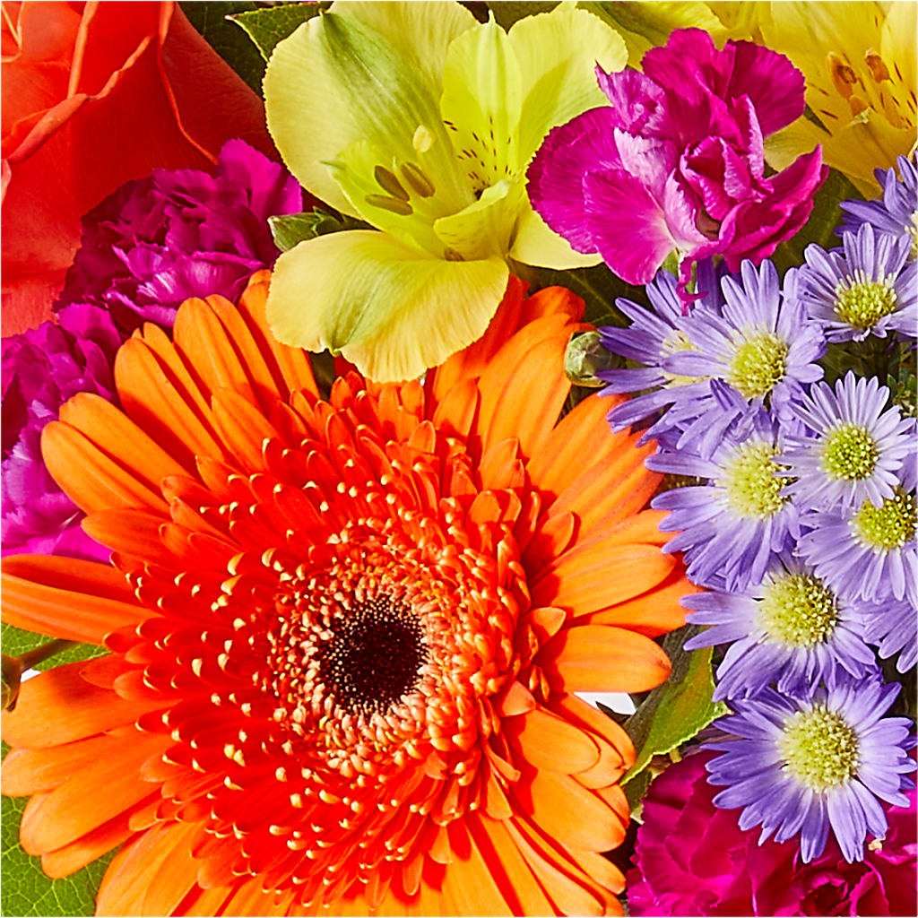 Tricks & Treats Pumpkin –  King Wholesale Flowers Co, Bradenton FL