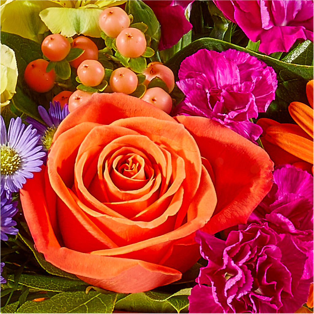 Tricks & Treats Pumpkin –  King Wholesale Flowers Co, Bradenton FL