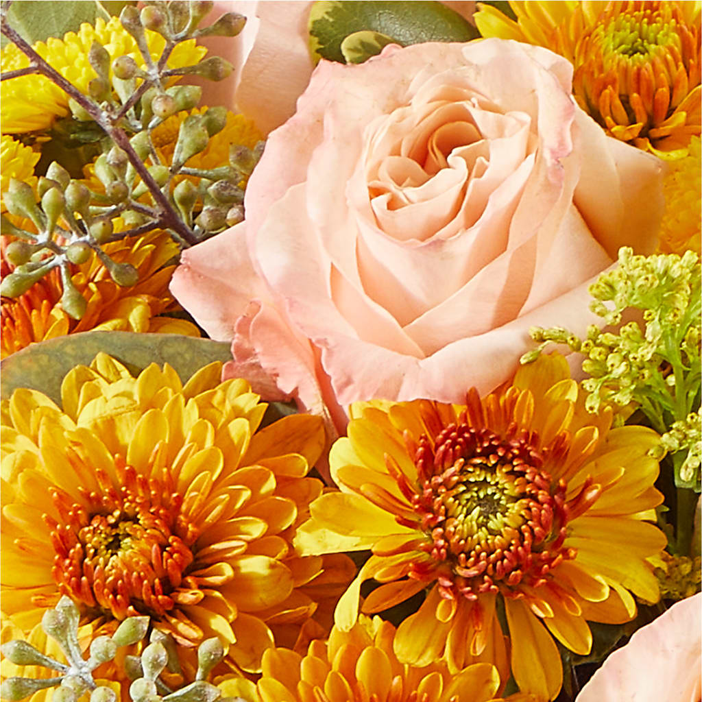 Peachy Pumpkin –  King Wholesale Flowers Co, Bradenton FL