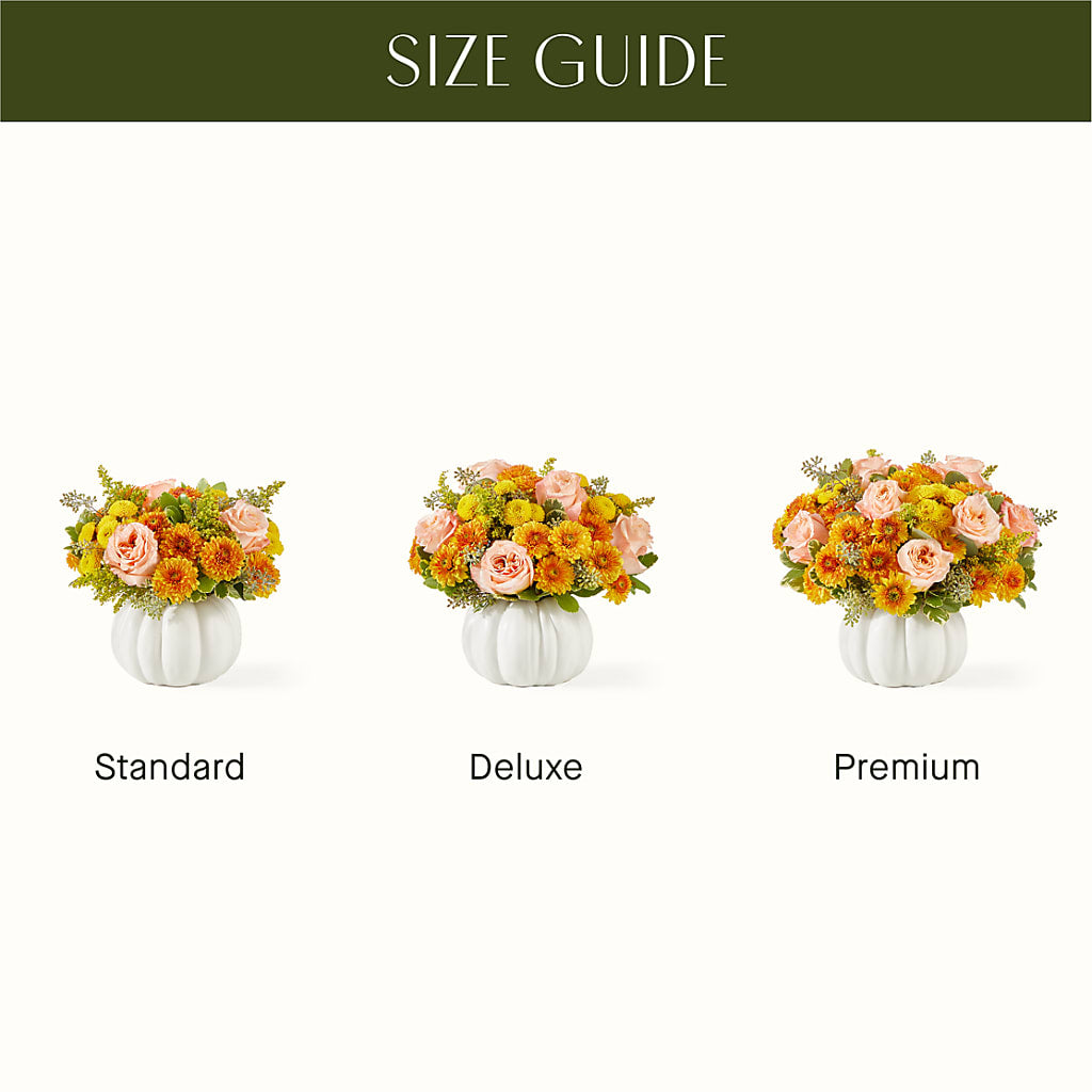 Peachy Pumpkin –  King Wholesale Flowers Co, Bradenton FL