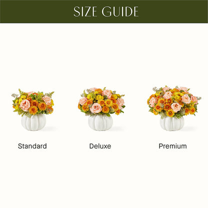 Peachy Pumpkin –  King Wholesale Flowers Co, Bradenton FL