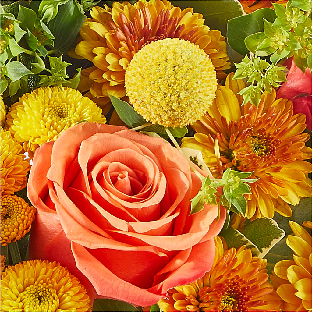 Gourdgeous Pumpkin –  King Wholesale Flowers Co, Bradenton FL