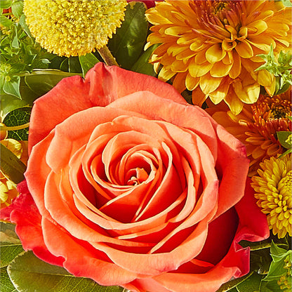 Gourdgeous Pumpkin –  King Wholesale Flowers Co, Bradenton FL